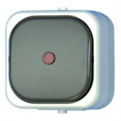 Kontrollschalter (A/W) beleuchtet mit Glimmlampe - AP-Feuchtraum - Serie AquaTop IP 44 - REV-RITTER grau - (10,00 Euro)